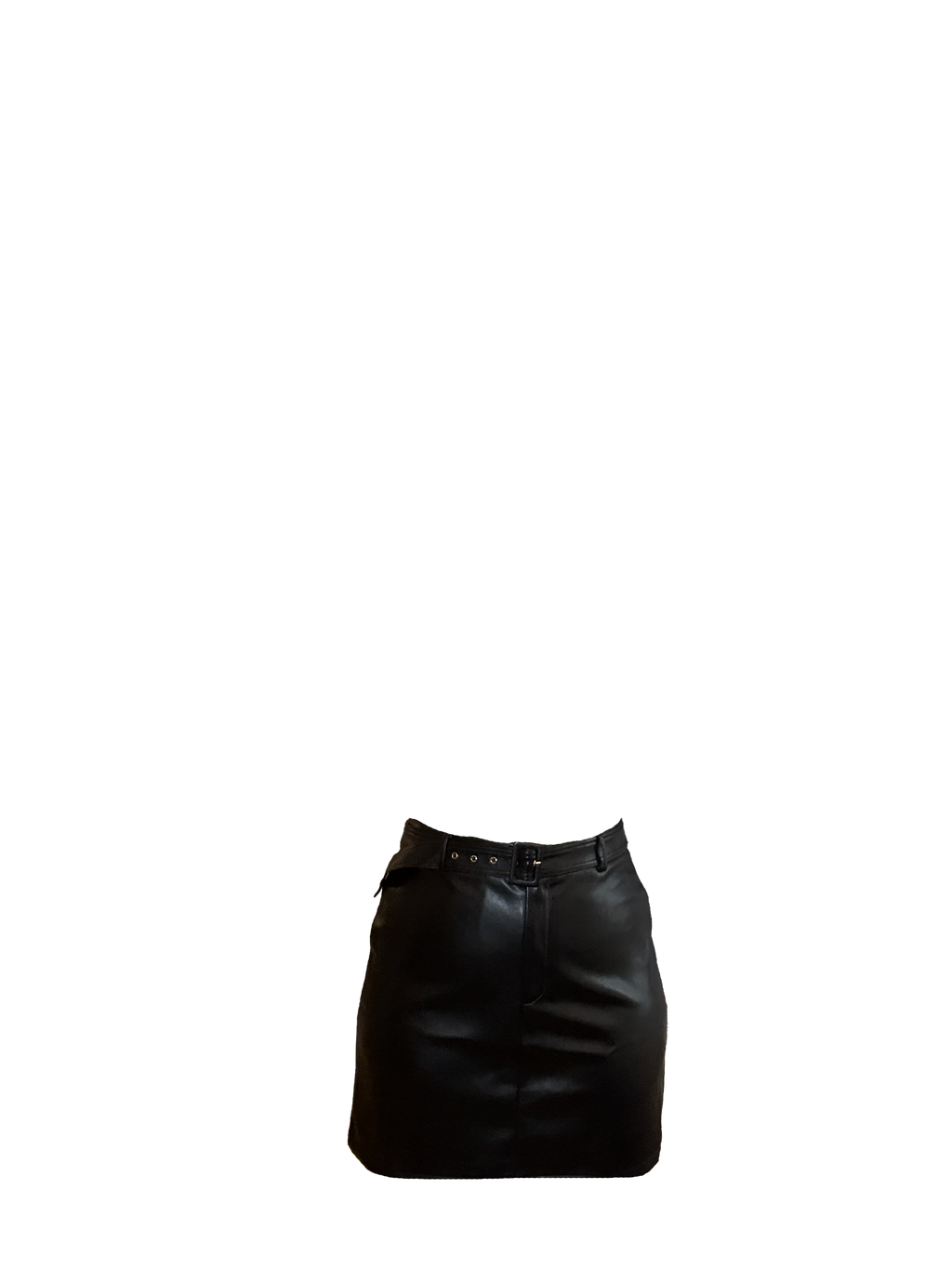 Tanya Faux Leather Skirt