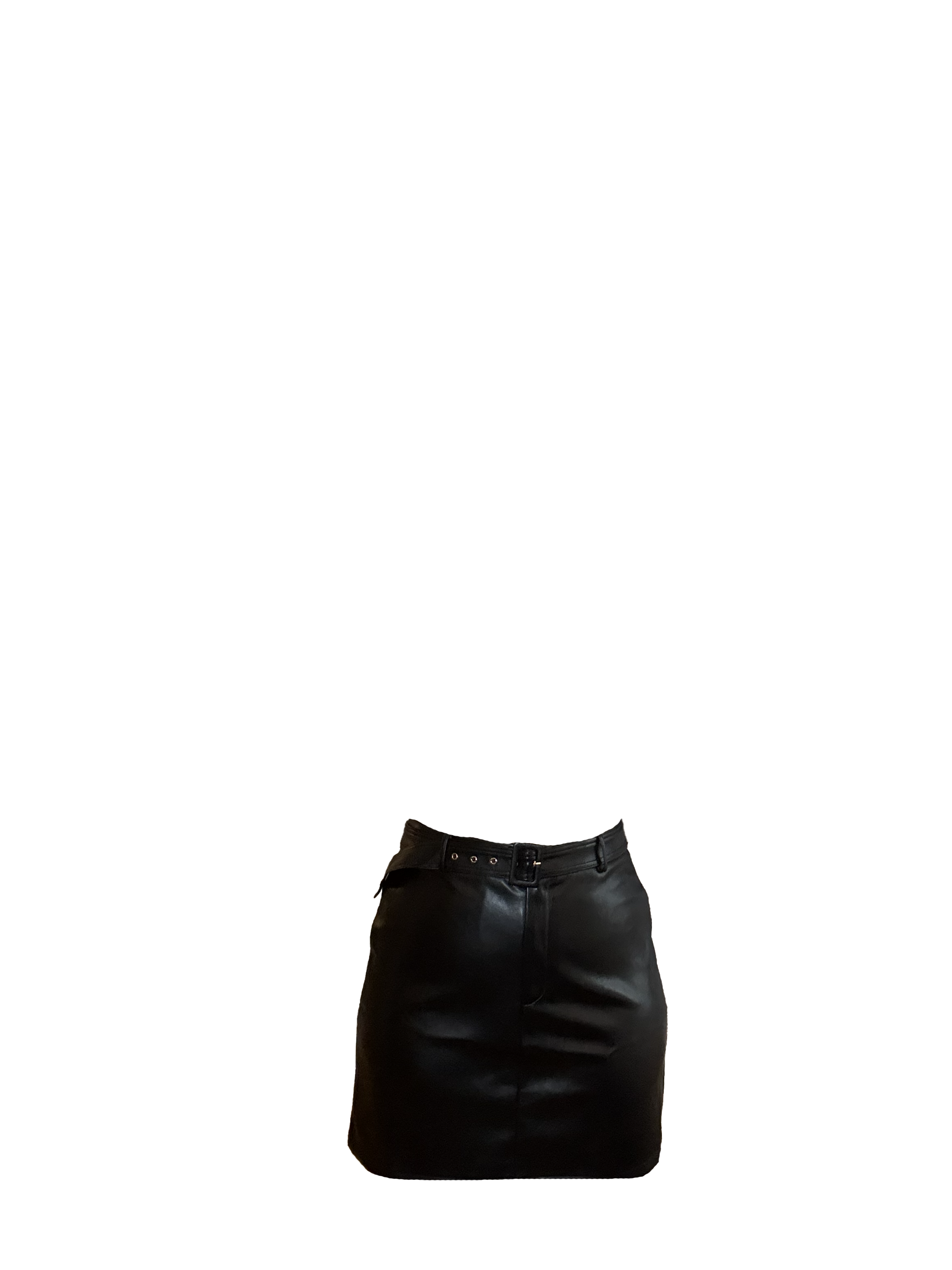 Tanya Faux Leather Skirt